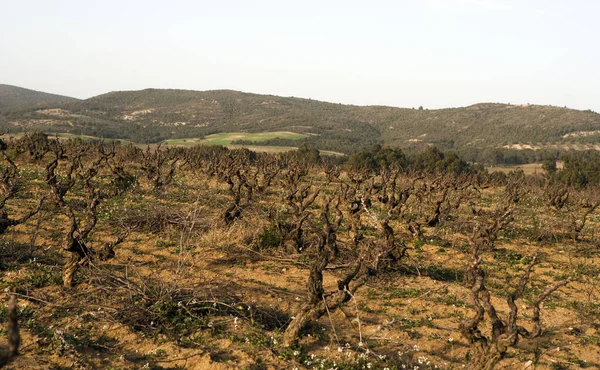 Paysage Montagne Dans Les Montagnes — Photo