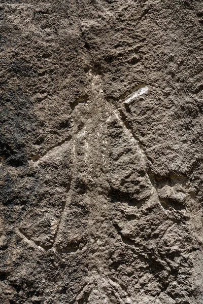 Antiguos Petroglifos Tallados Roca Parque Nacional Gobustan Exposición Petroglifos Gobustán — Foto de Stock