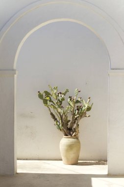 Penceredeki vazoda beyaz çiçekler