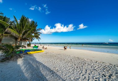 Palmiye ağaçları ve mavi gökyüzü olan güzel tropikal plaj