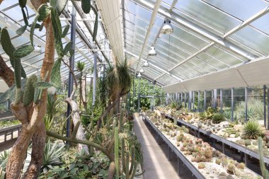 Bitkileri olan güzel botanik bahçesi