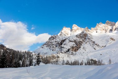 Karla kaplı ağaçlarla kaplı kış manzarası