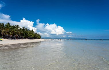 Plaj ve tropikal deniz manzarası