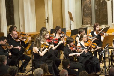 Bir konserde müzik çalan müzisyenler