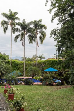 PEREIRA, COLOMBIA - 25 Ekim 2015: Hacienda Castilla Livinghotel, Pereira yakınlarında bir butik otel. Kolombiya 'nın kahve üreten bölgesinde And Dağları' nın eteklerinde yer almaktadır (kahve ekseni).).
