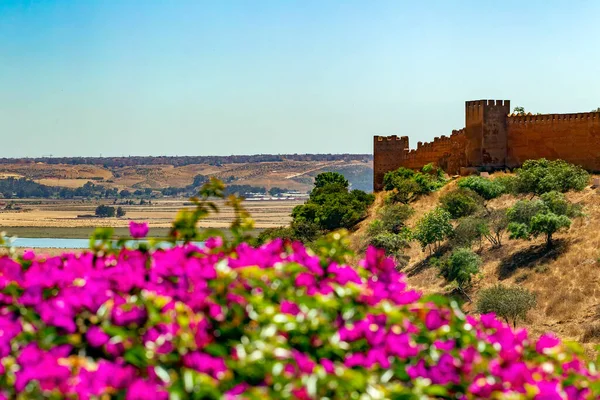 Rabat Morocco Června 2014 Chellah Rabatu Maroko — Stock fotografie