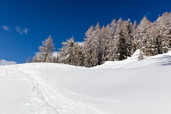 Paisaje Invernal Con Árboles Cubiertos Nieve —  Fotos de Stock