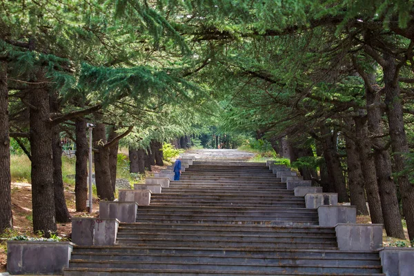 Escaleras Parque Verde — Foto de Stock