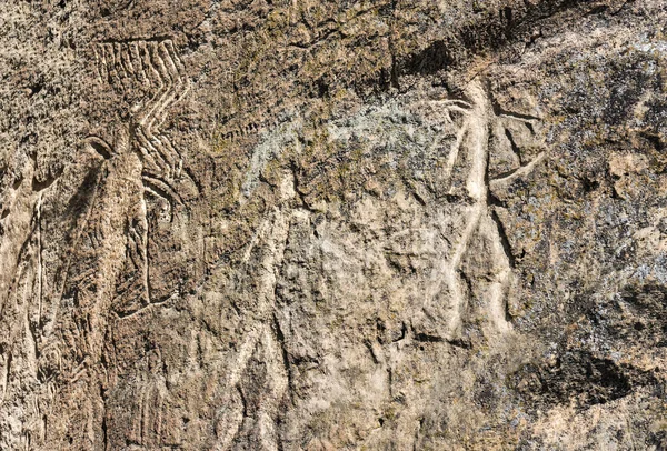 Antiguos Petroglifos Tallados Roca Parque Nacional Gobustan Exposición Petroglifos Gobustán — Foto de Stock