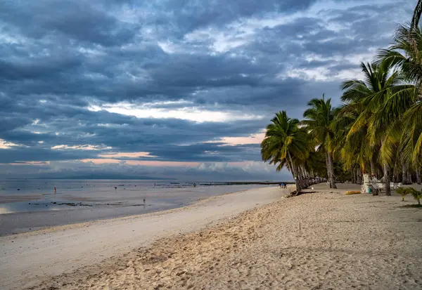 Plage Tropicale Avec Palmiers Ciel Bleu — Photo