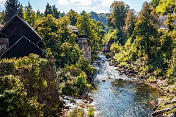 Rio Montanha Floresta — Fotografia de Stock