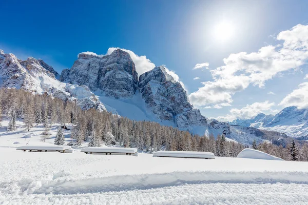 Paisagem Inverno Com Árvores Cobertas Neve — Fotografia de Stock