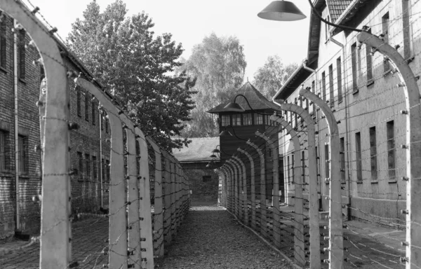 2012年10月22日 ポーランドのオスヴィエチムにある旧ナチスの絶滅収容所であるアウシュビッツ第1収容所の鉄条網 ヨーロッパ最大のナチスの強制収容所だった — ストック写真