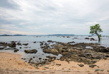 Kayalıkları ve denizi olan tropikal plaj