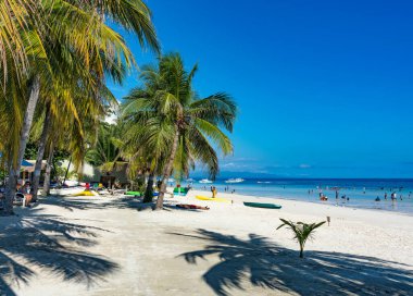 Karayiplerdeki sahilde palmiye ağaçları