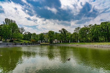Tsarskoye selo şehrindeki parkın manzarası