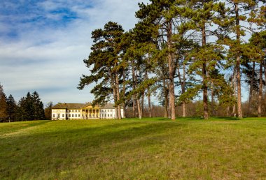 Yazın parkın manzarası