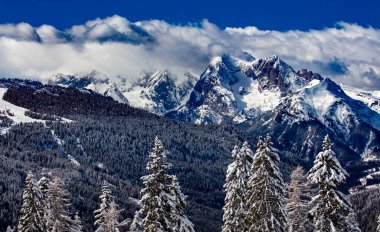 Karla kaplı ağaçlarla kaplı kış manzarası