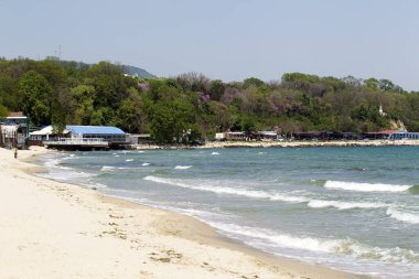 Palmiye ağaçları ve mavi gökyüzü olan tropik plaj