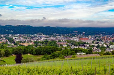 Litvanya 'daki vilnius şehrinin havadan görünüşü