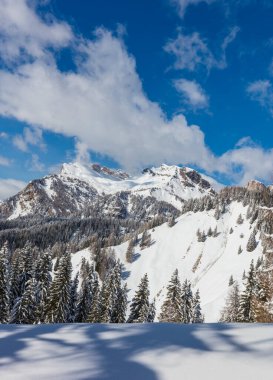 Karla kaplı ağaçlarla kaplı kış manzarası