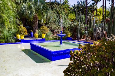 Lizbon 'da tropik bahçesi olan turistik bir yer