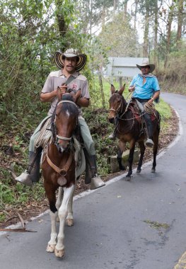 SALENTO, COLOMBIA - 25 Ekim 2015: Kolombiya 'nın Zona Cafetera bölgesinde Salento' ya 10 km mesafedeki Cocora vadisinde ata binen kimliği belirsiz insanlar.