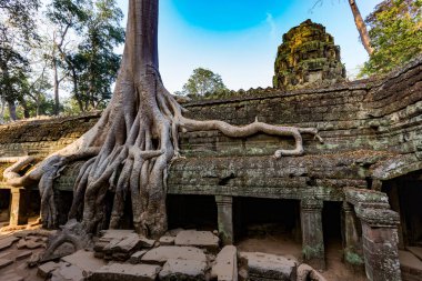 Angkor wat, siem hasadı, Kamboçya