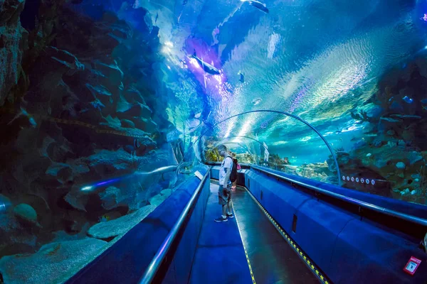 Kuala Lumpur Malaysia Janeiro 2017 Aquário Oceanário Localizado Abaixo Centro — Fotografia de Stock