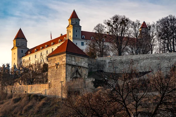 Vista Castelo Cidade Cesky Krumlov República Checa — Fotografia de Stock