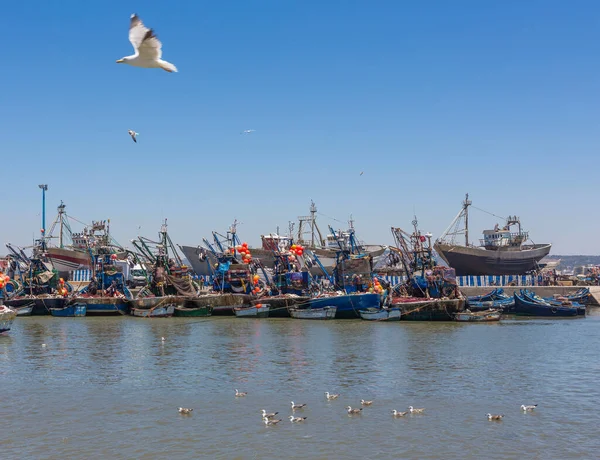 Mouettes Sur Jetée Dans Port Barcelone Espagne — Photo