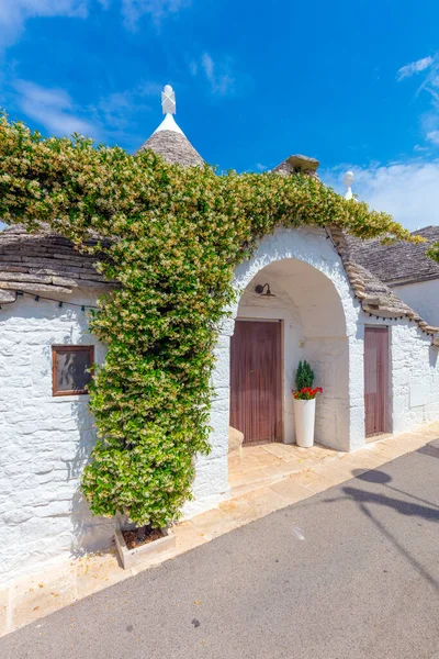 Tipik Trulli Evleri Alberobello Apulia Bölgesi Talya — Stok fotoğraf