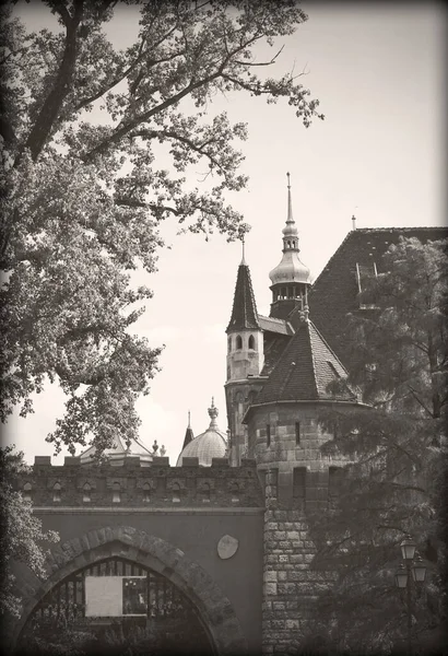 Vista Del Antiguo Castillo Prague — Foto de Stock