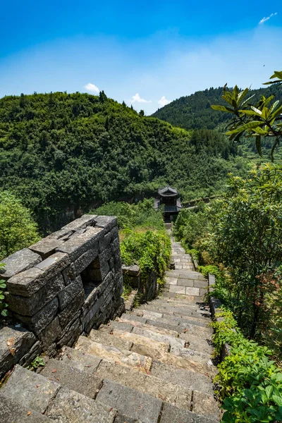 Каменная Стена Лестница Азиатских Джунглях — стоковое фото
