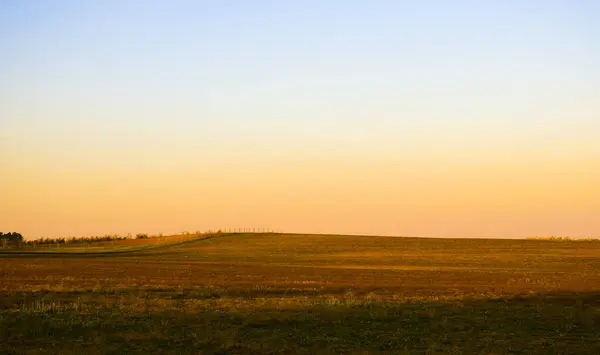 Sunset Field — Stock Photo, Image