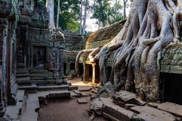 Angkor Wat Siem Reap Kambodscha — Stockfoto