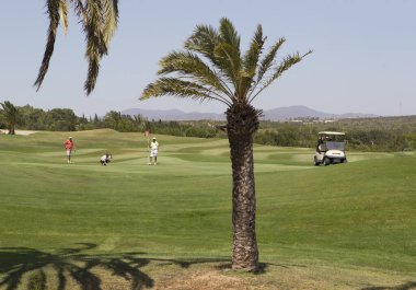 Kenya 'nın güneyindeki golf sahasında.
