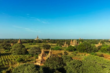 Bagan, Myanmar 'daki altın pagoda manzarası
