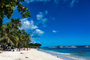 Palmiye ağaçları ve mavi gökyüzü olan tropik plaj