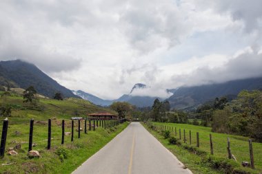 Kolombiya 'daki Cocora Vadisi
