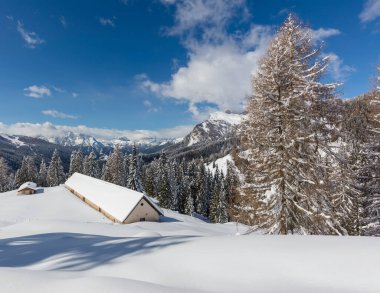 Karla kaplı ağaçlarla kaplı kış manzarası