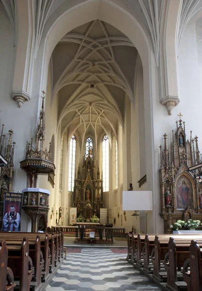 Interior Igreja São Jorge Catedral Santo Martinho Cristo — Fotografia de Stock