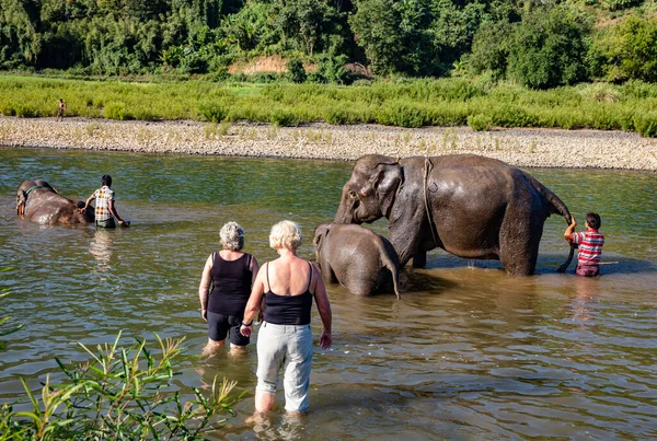 アジアの象を旅する人たちは — ストック写真