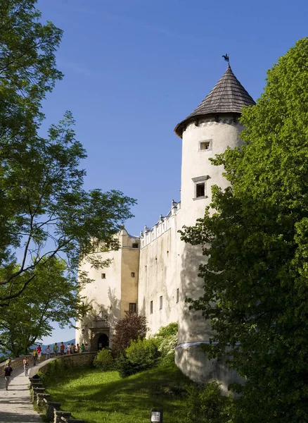 Vista Del Castillo Carcasona Francia — Foto de Stock