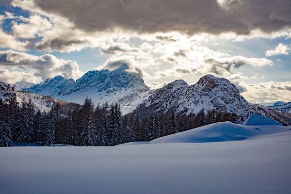 Winterlandschaft Mit Schneebedeckten Bäumen — Stockfoto