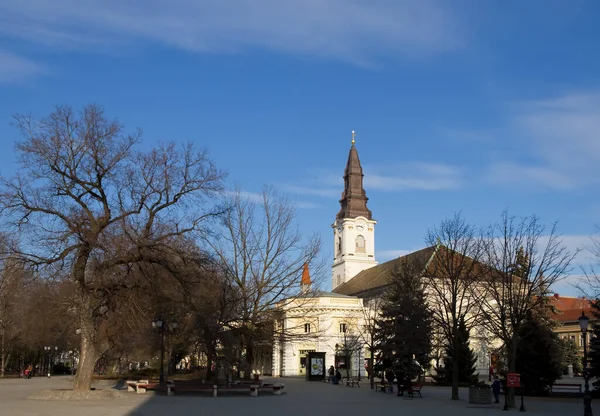 Blick Auf Die Stadt Vilnius Hauptstadt Litauens — Stockfoto