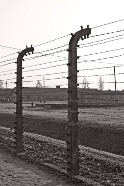 OSWIECIM, POLAND - 22 Ekim 2012 'de Polonya' nın Oswiecim kentinde eski bir Nazi imha kampı olan Auschwitz Kampı 'nda dikenli teller. Avrupa 'daki en büyük Nazi toplama kampıydı.
