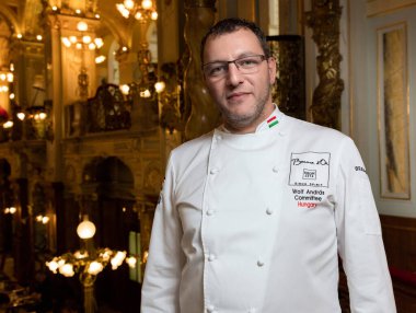 BUDAPEST, HUNGARY - 13 Ekim 2016: Andras Wolf 'un New York Cafe' deki yönetici şefi ve mutfağındaki Boxer Akademisi 'nin bir parçası olan Salon Restoranı, röportajını yapıyor.