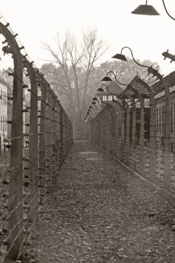 OSWIECIM, POLAND - 22 Ekim 2012 'de Polonya' nın Oswiecim kentinde eski bir Nazi imha kampı olan Auschwitz Kampı 'nda dikenli teller. Avrupa 'daki en büyük Nazi toplama kampıydı.