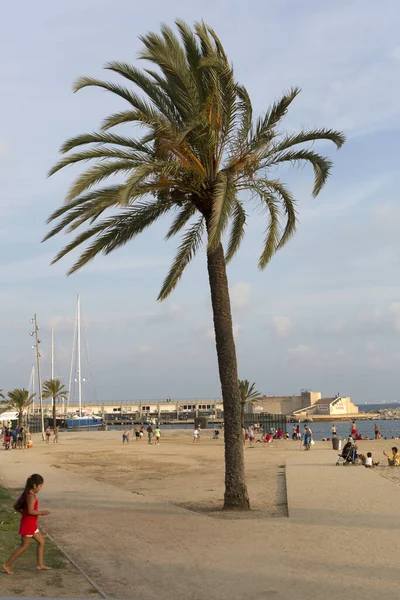 Zeekust Barcelona Spanje — Stockfoto